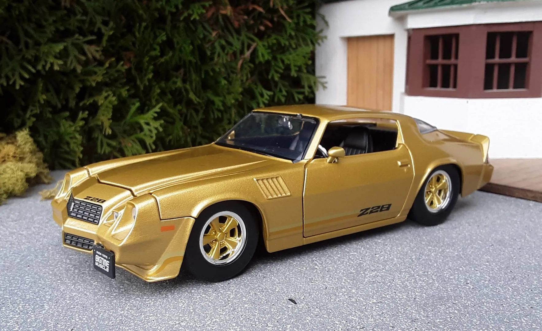 44453 rare camaro model