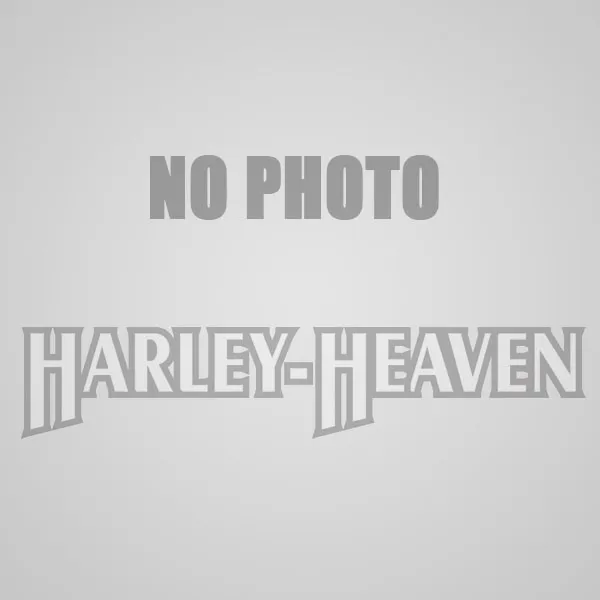 /img/44454-harley-davidson-finished-model.webp