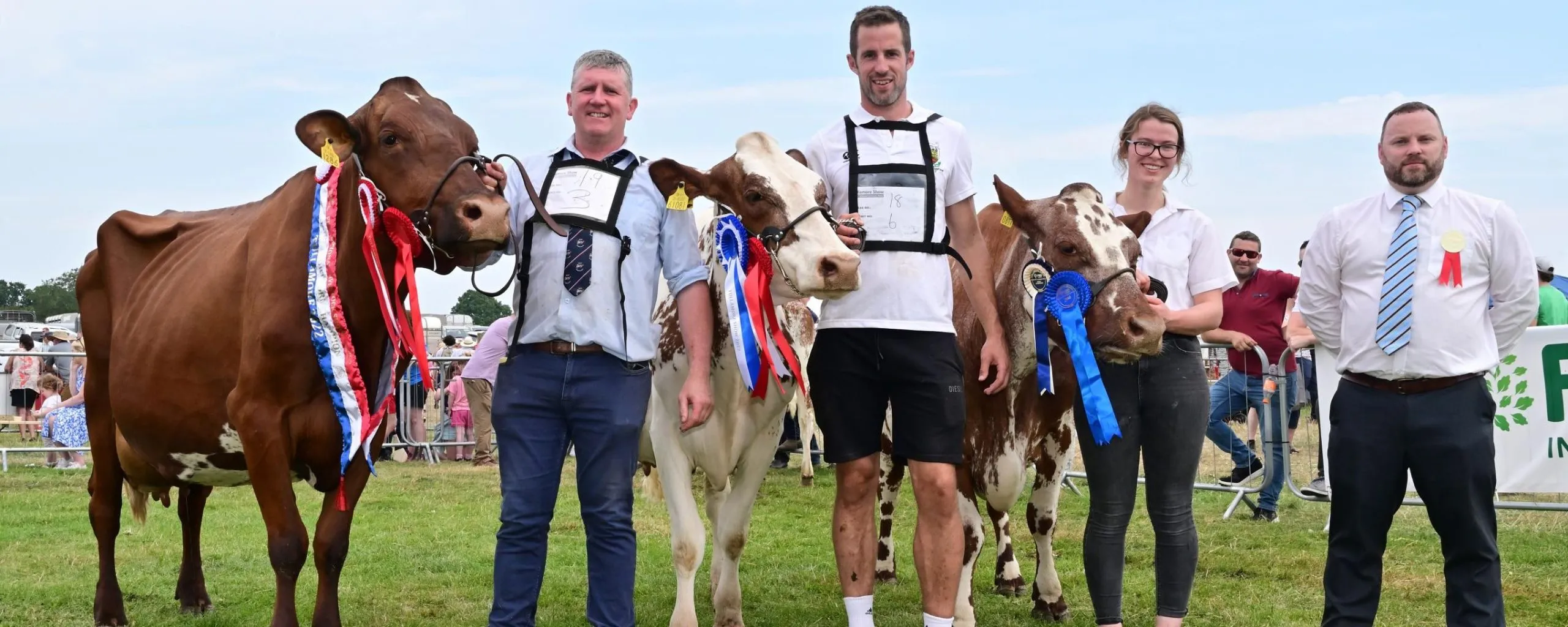 44532 tullamore show crowd