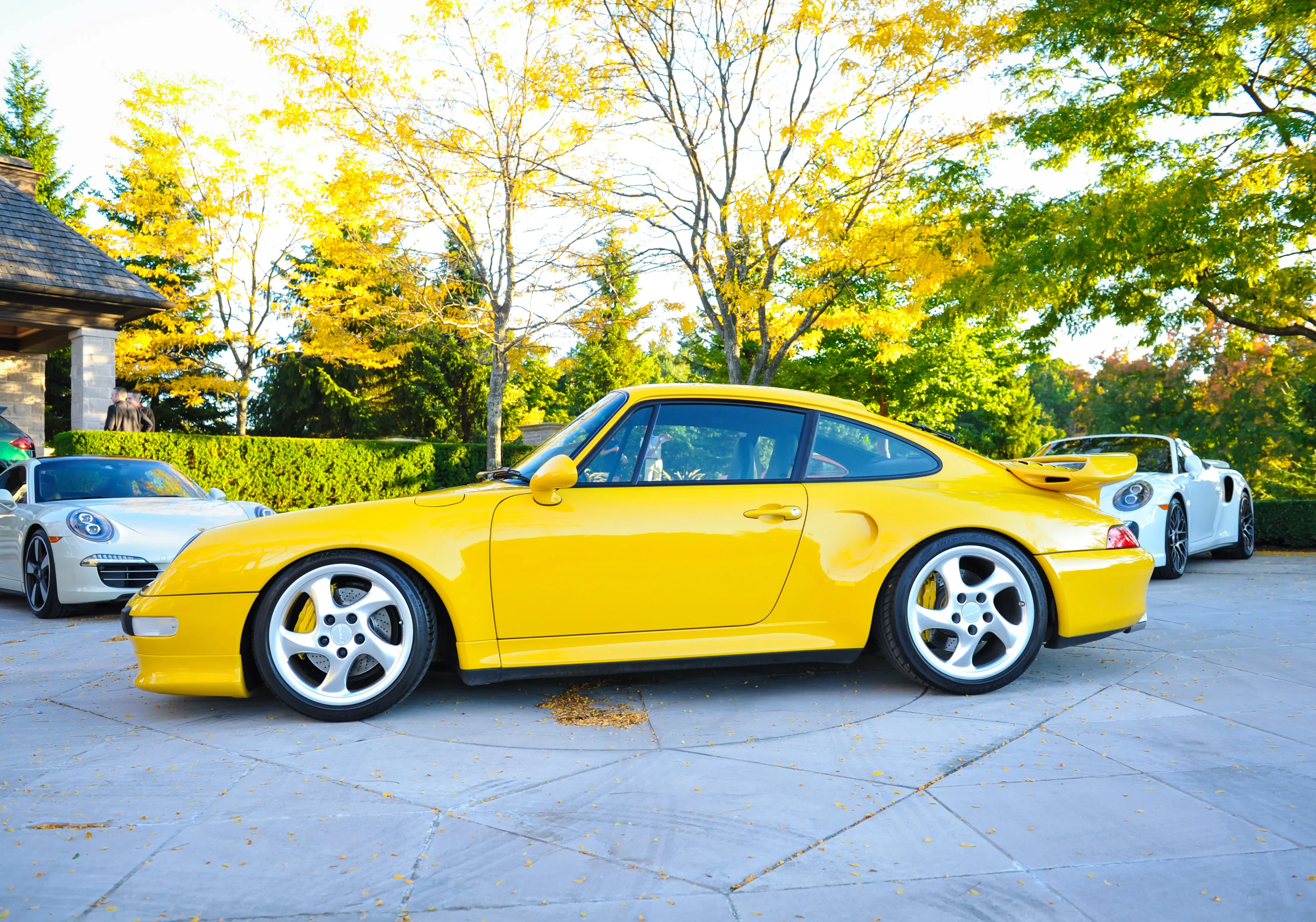 44560 pfaff porsche diecast intro