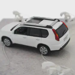 /img/44593-custom-diecast-nissan-x-trail.webp