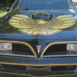 /img/44652-pontiac-trans-am-diecast-hot-wheels.webp